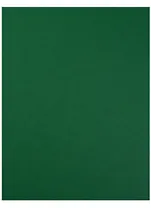 Бумага цветная 50*65 "Iris Vivaldi" Зеленый мох