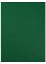 Бумага цветная 50*65 "Iris Vivaldi" Зеленый мох