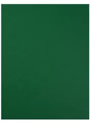 Бумага цветная 50*65 "Iris Vivaldi" Зеленый мох