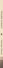 Карандаш природы. Очерки изобретателя фотографии - 2