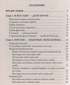 Популярная фунготерапия: лечение лекарственными грибами - 1