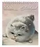Скетчбук 168*195 30л "Серый пушистик" белый офсет, 120г/м2, спираль - 0