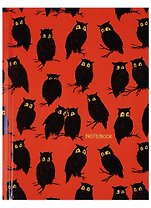 Записная книжка А6 64 листа "Графика. Совы"