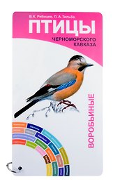 Птицы Черноморского Кавказа. Вобьиные и неворобьиные