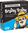 Игра-головоломка BRAINY TRAINY УМ548 Железная логика