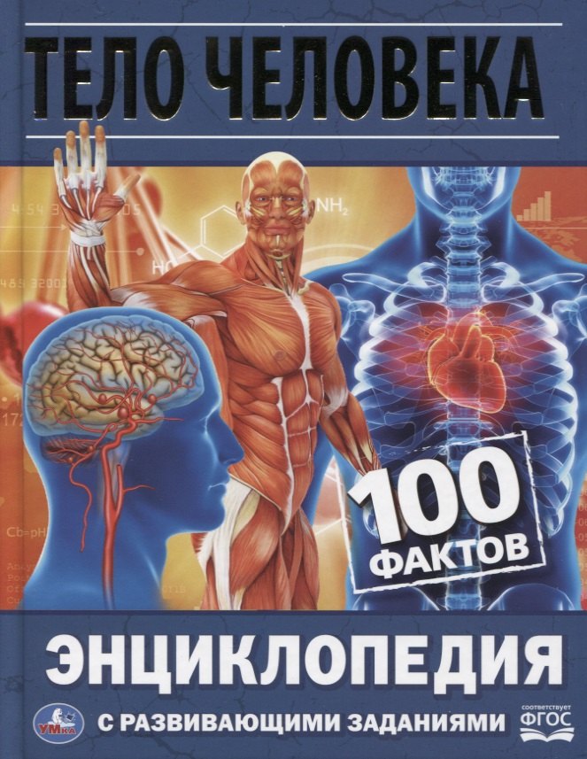 

Тело человека. 100 фактов. Энциклопедия с развивающими заданиями