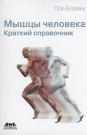 Мышцы человека. Краткий справочник