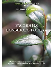 Джунгли большого города. Ботаника для неофитов