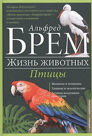 Птицы А-К