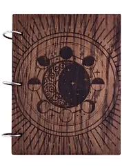 Лунный дневник