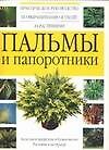 Пальмы и папоротники