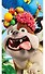 Закладка 3D 70 (Мир открытий) - 1