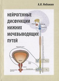 Нейрогенные дисфункции нижних мочевыводящих путей