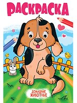 Раскраска с глазками. Домашние животные