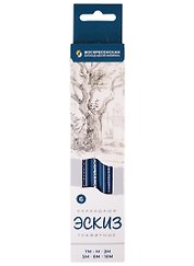 Карандаши чернографитные "Эскиз" 6шт, ассорти (10М, 8М, 5М, 3М(3B), М, ТМ), к/к, ВКФ