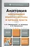 Анатомия центральной нервной системы и органов чувств. Учебник для академического бакалавриата - 0