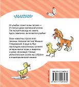 Дневник кузнечика Кузи. Маленькие сказки - 1