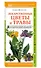 Лекарственные цветы и травы. Наглядный карманный определитель - 1