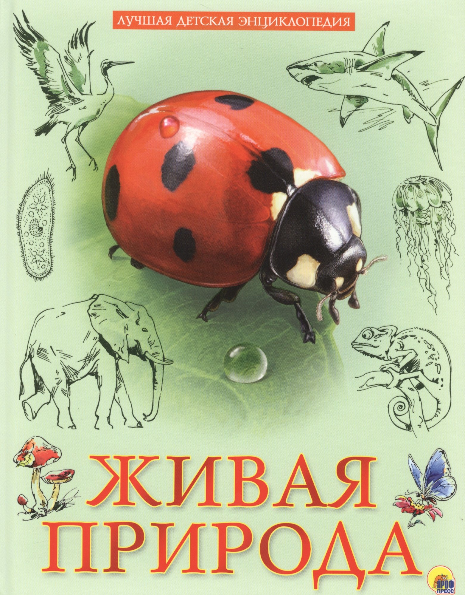 

Живая природа