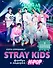Stray Kids. Фанбук о лидерах K-pop - 0
