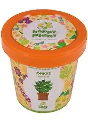 Набор для выращивания Горшок Фикус райский (hpn-12)