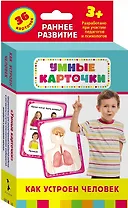 Как устроен человек : настольно-печатная развивающая игра. 36 карточек, для детей старше 3-х лет