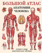 Большой атлас  анатомии человека - 0