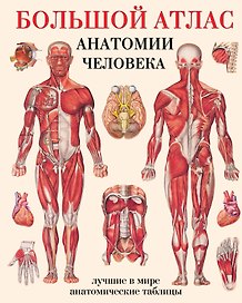Большой атлас  анатомии человека