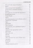Под северным небом: стихи - 2