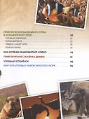 О птичках, рыбках и зверюшках. (Первый шаг в науку). 2021 - 2