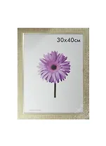 Фоторамка пластик 30*40 "Nina" серебряная, 100 рамок