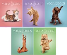Тетрадь 40л лин. "Yoga Animals" двойн.УФ выб.лак, ассорти, Академия Групп