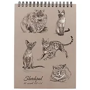 Скетчбук «Коты», А4
