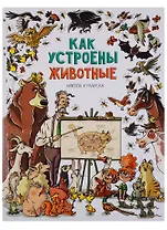 Как устроены животные