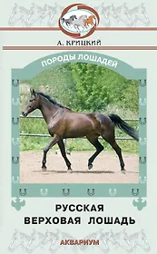 Русская верховая лошадь