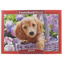 Пазл «Щенок в корзине» 1000 элементов, Castorland