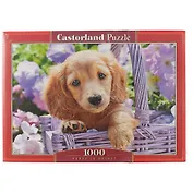 Пазл Castorland Щенок в корзине 1000 эл., 68*47см. C-103799