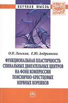 Функциональная пластичность спинальных двигательных центров на фоне компрессии пояснично-крестцовых нервных корешков: Монография