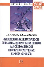 Функциональная пластичность спинальных двигательных центров на фоне компрессии пояснично-крестцовых нервных корешков: Монография