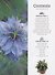 RHS Propagating Plants: How to Create New Plants For Free - 1