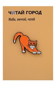 Значок металлический Рыжая кошка (знЗвРк1)