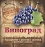 Виноград. Выращивание, хранение и заготовка, целебные свойства - 0