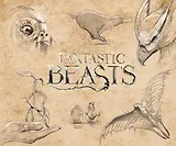 Скетчбук. Фантастические твари (твердый переплет, 96 стр., 240х200 мм)