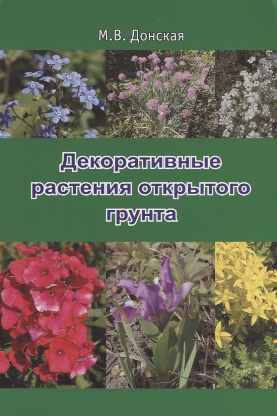 

Декоративные растения открытого грунта