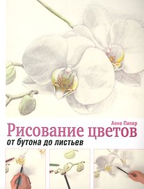 Рисование цветов от бутона до листьев