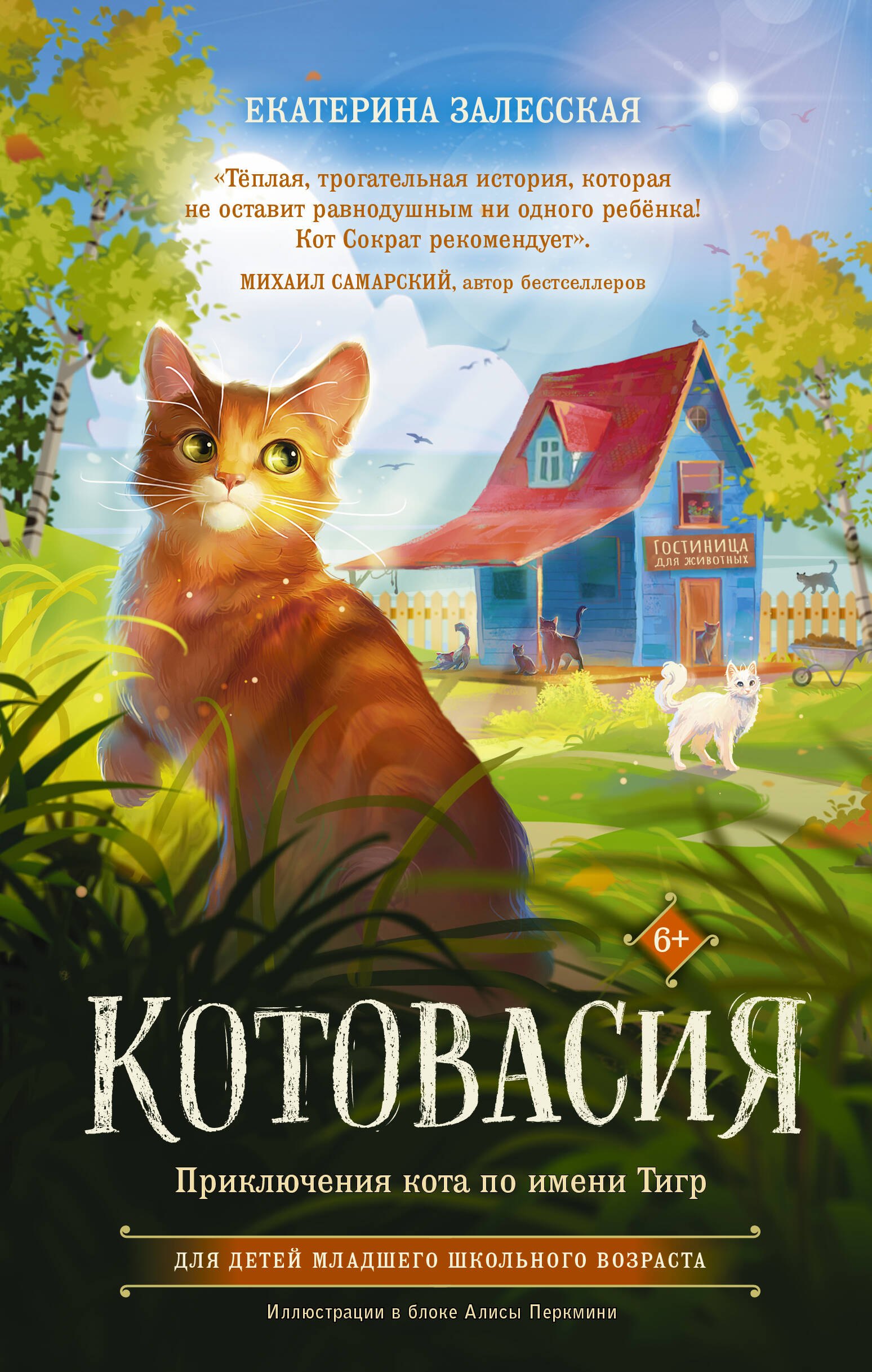 

Котовасия. Приключения кота по имени Тигр