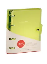 Тетрадь на кольцах в клетку InFolio, Neon, 120 листов, в ассортименте