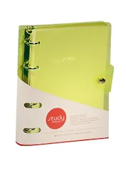 Тетрадь на кольцах в клетку InFolio, Neon, 120 листов, в ассортименте