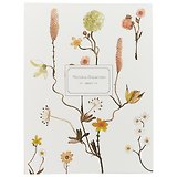 Папка 20ф А4 "Natural collection" пластик, ассорти, инд.уп 