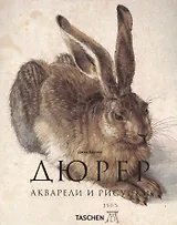 Альбрехт Дюрер